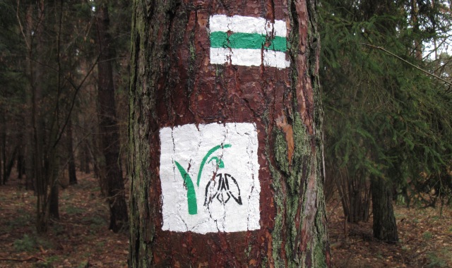 Wstęp do rezerwatu jest zabroniony do 31 marca